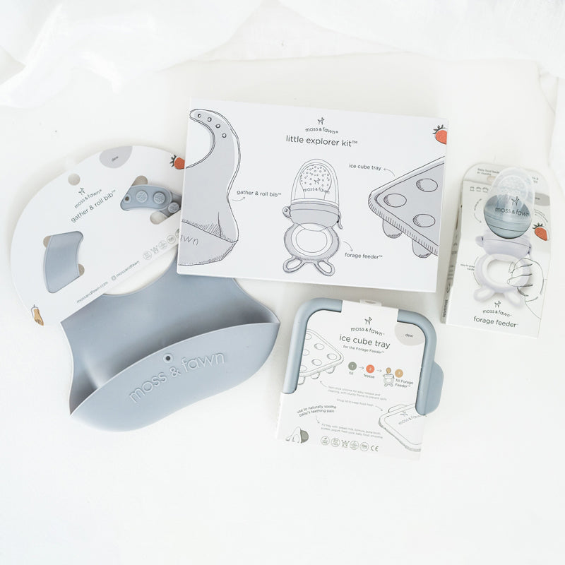 Silicone fresh food feeder for introducing solids and teething support